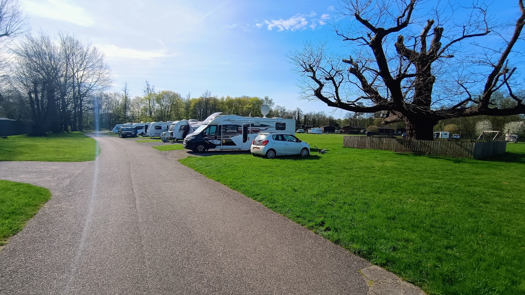 Woodland touring pitches