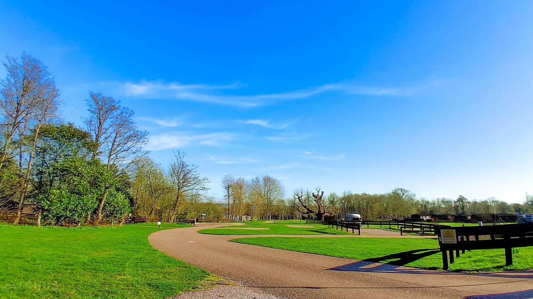 Woodland campsite at Theobalds Park