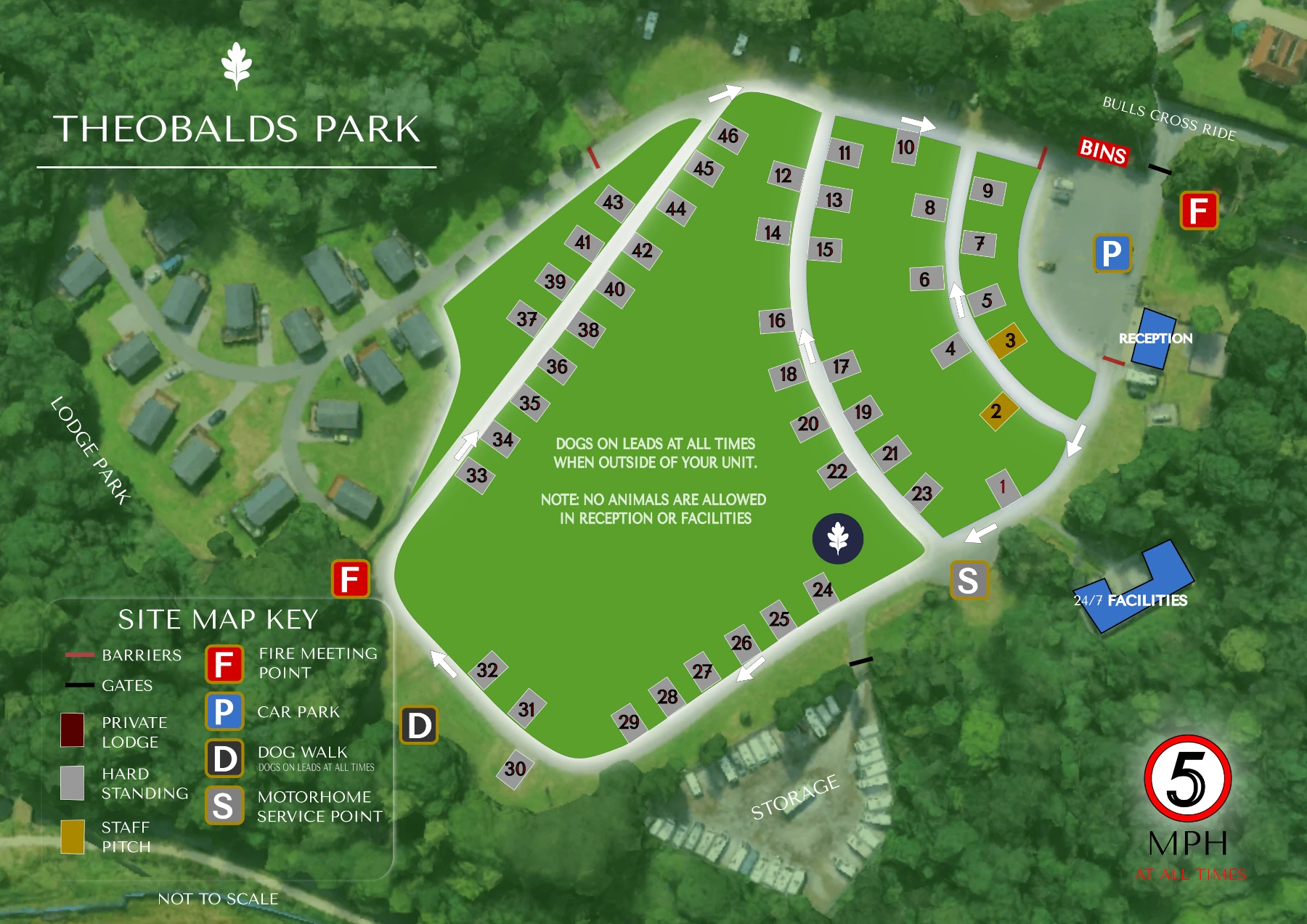 Woodland touring pitches